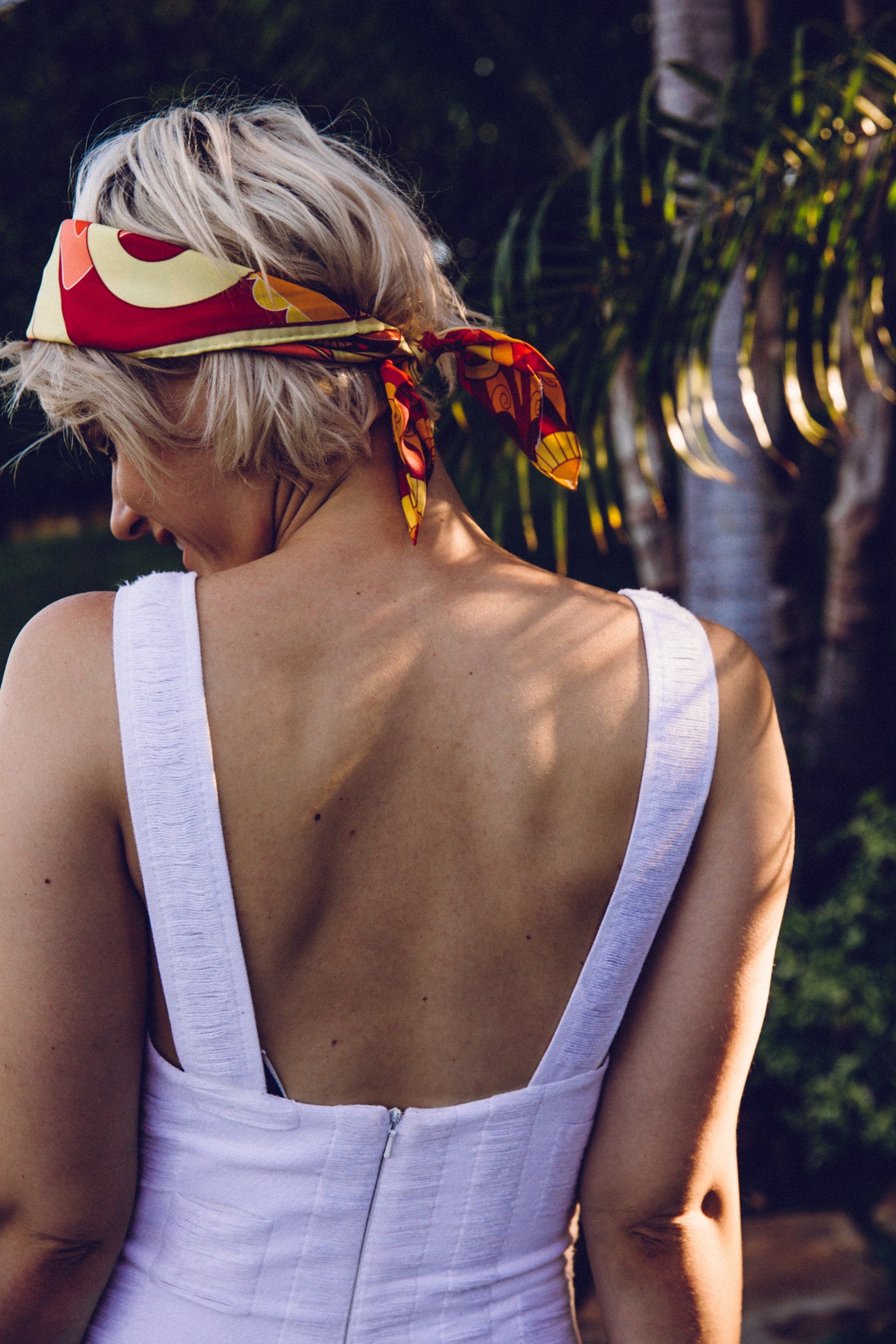 Elephant Evolution - Ambers - A.M.