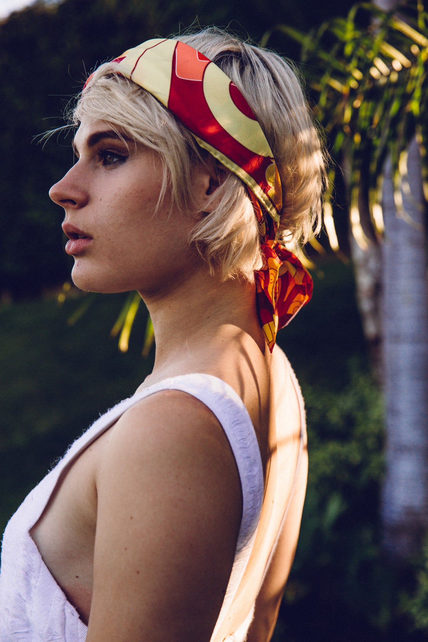 Elephant Evolution - Ambers - A.M.