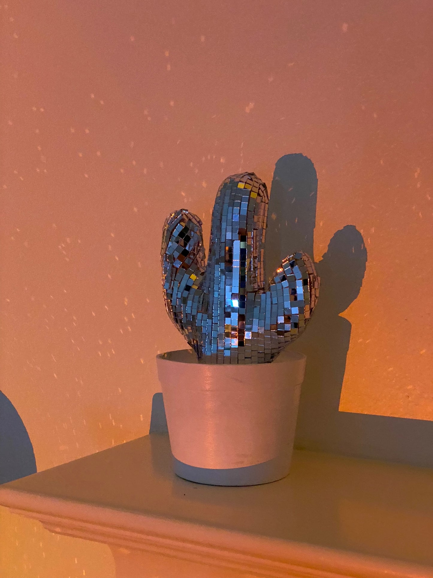 disco cactus 🌵