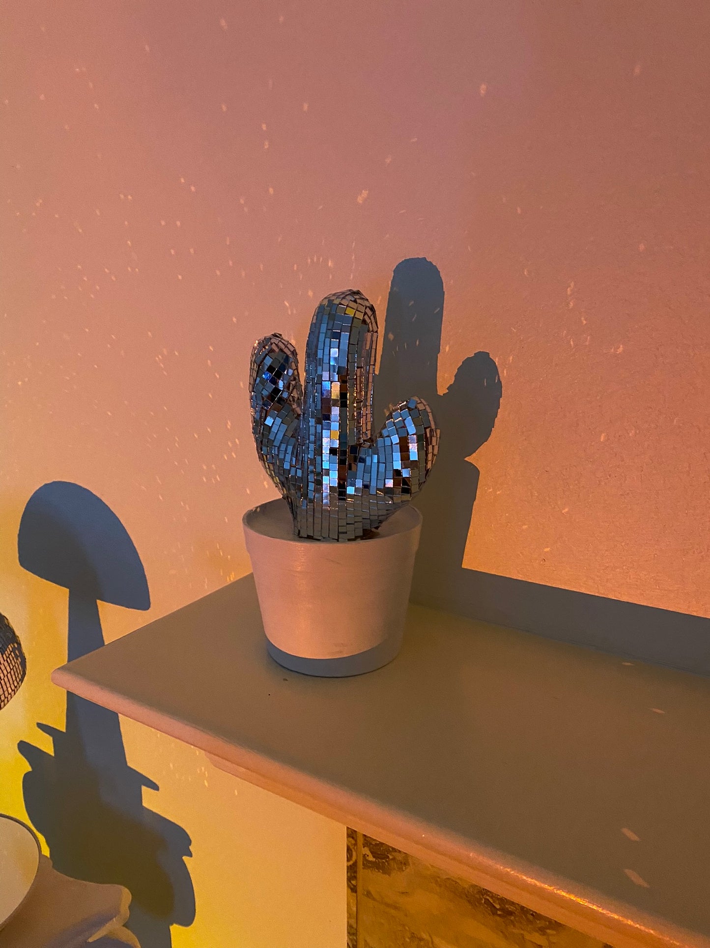 disco cactus 🌵