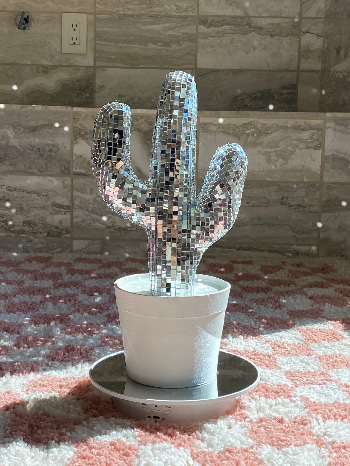 disco cactus 🌵