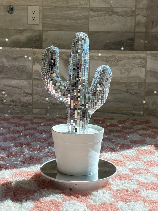 disco cactus 🌵