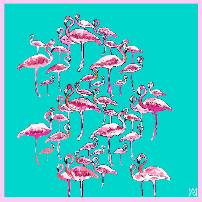 Akimbo Flamingo - A.M.