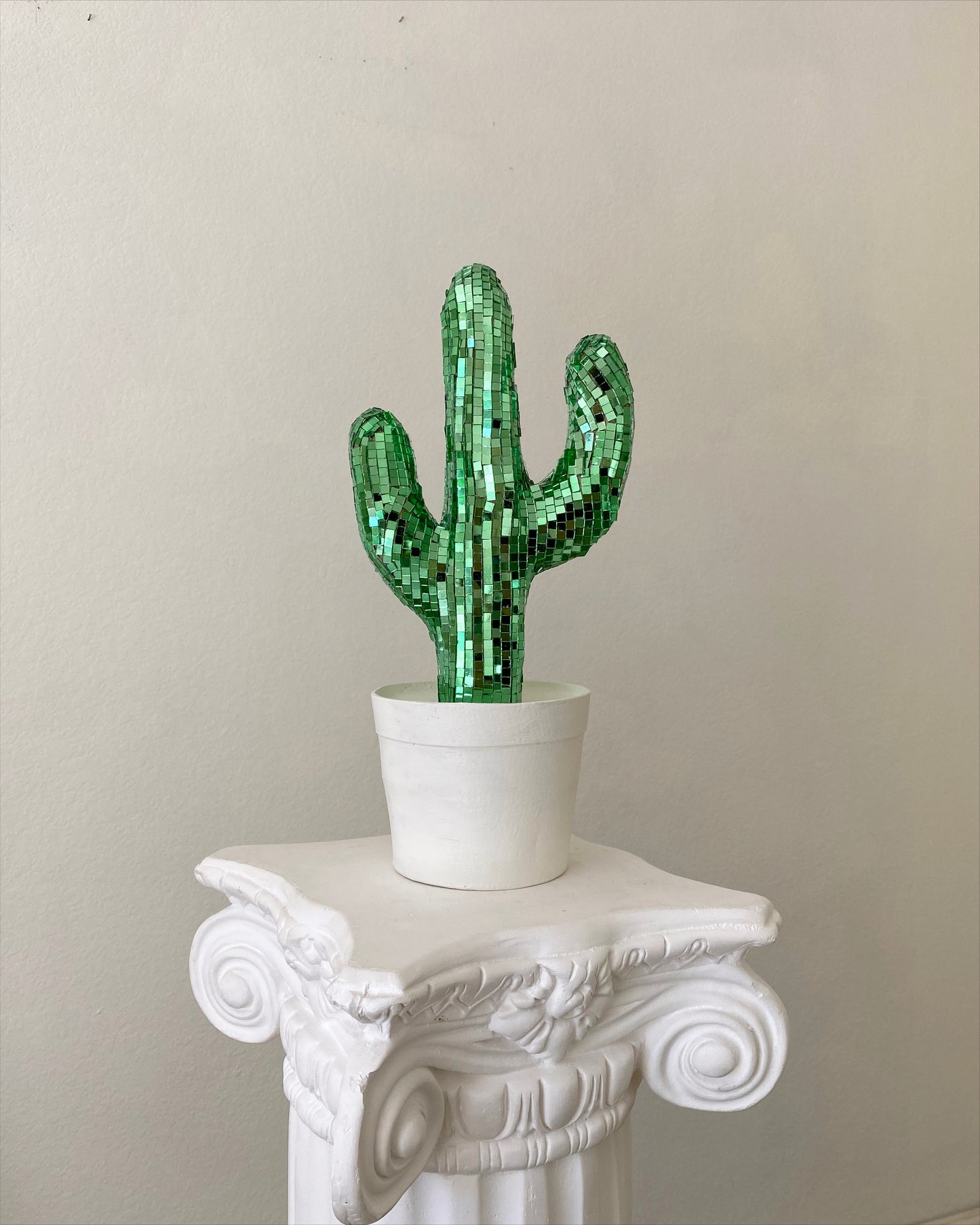 disco cactus 🌵