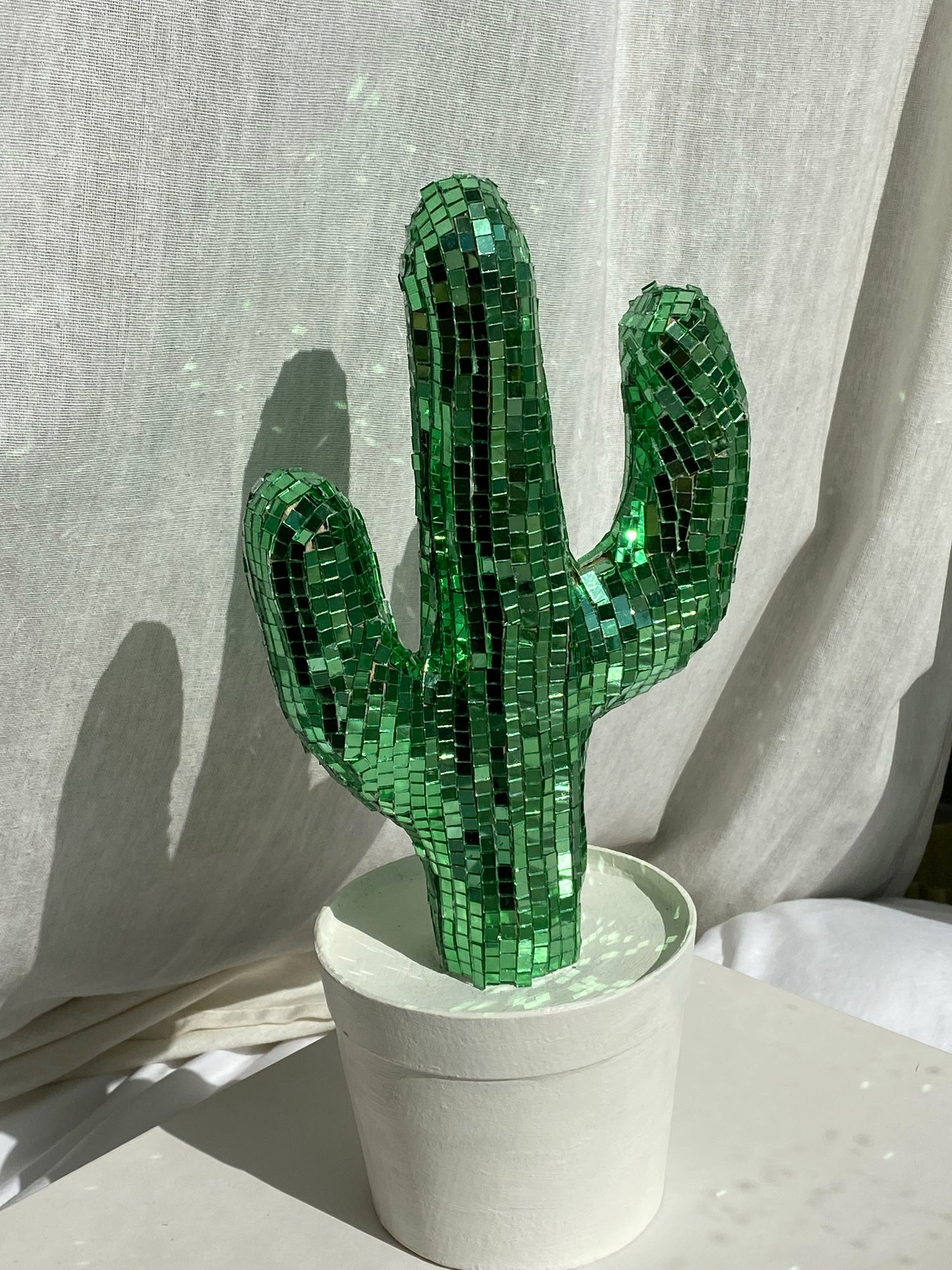 disco cactus 🌵
