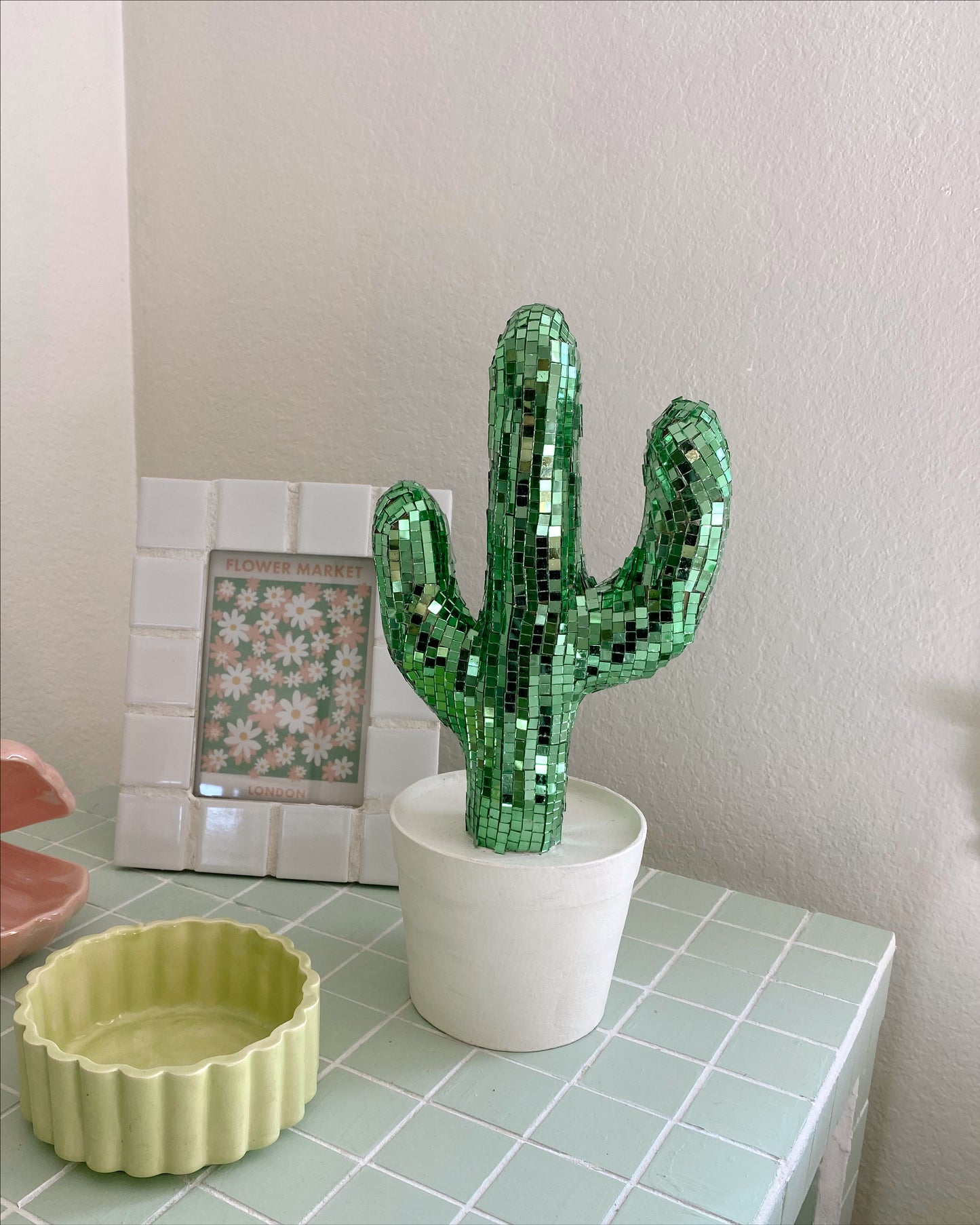 disco cactus 🌵